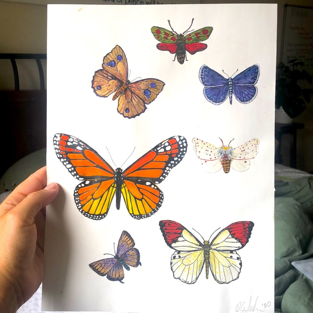 Butterfly watercolor painting! Original work